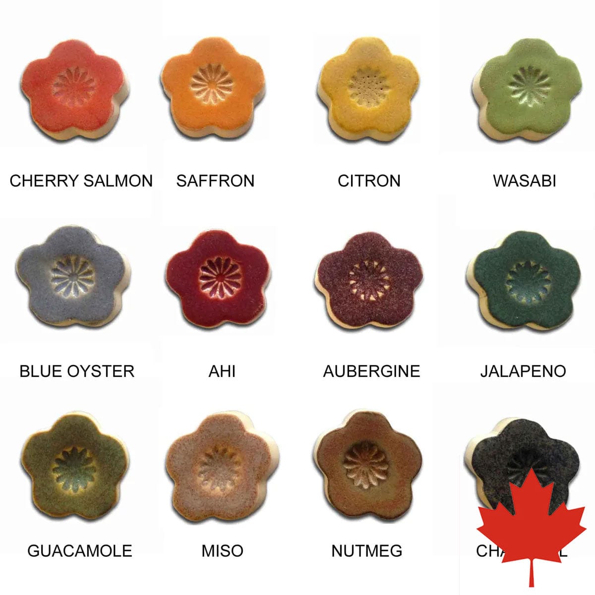 Spectrum Shino Stoneware Glazes - Sample Pack