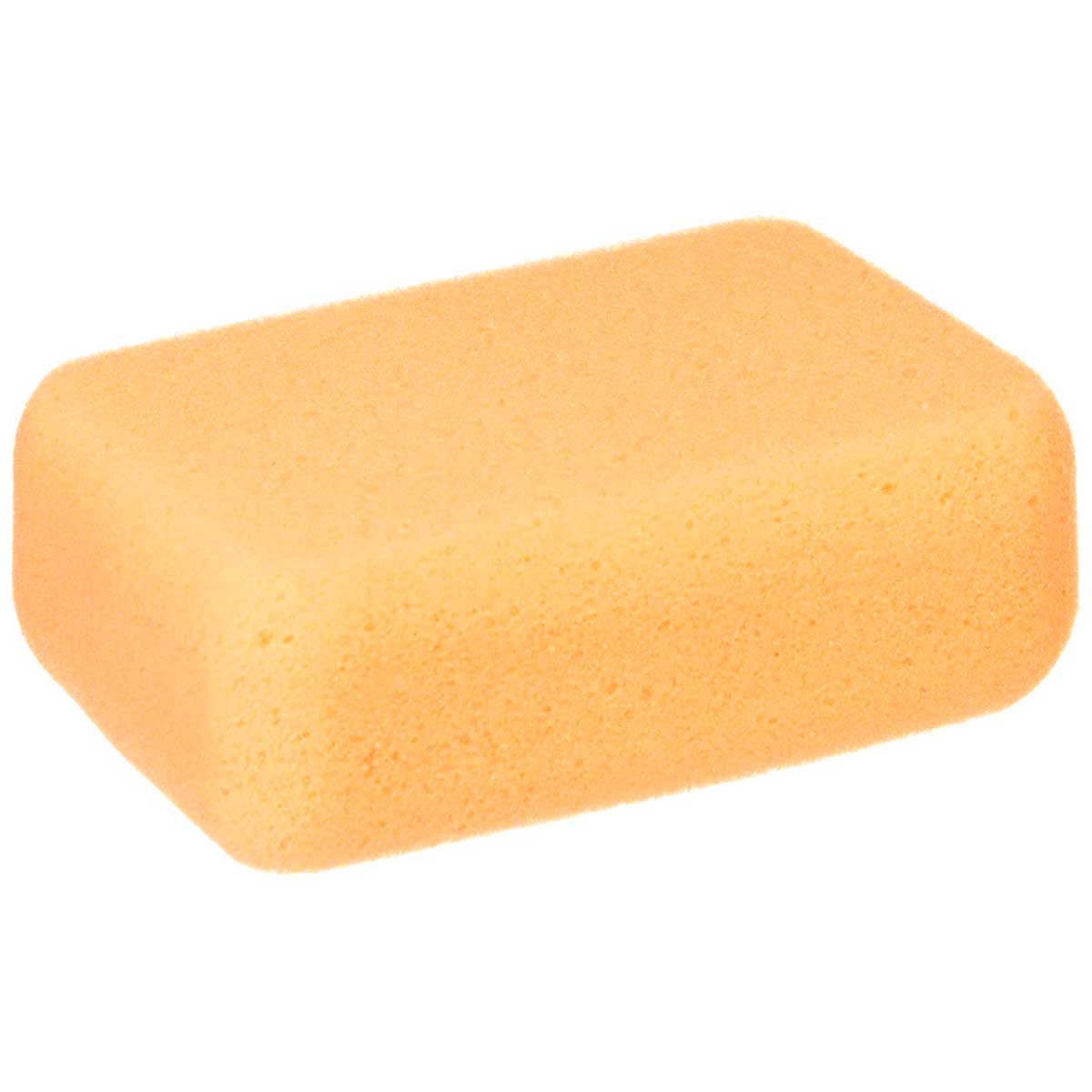 Mudtools Orange Most Absorbent Sponge